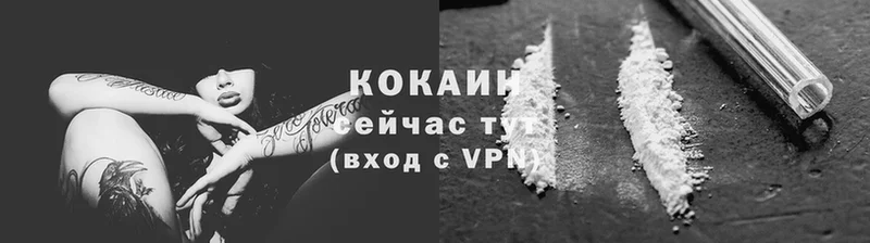 Cocaine VHQ  Луховицы 